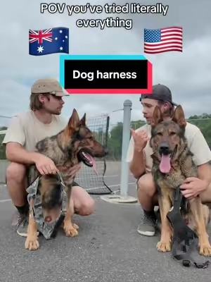 Never seen somthing work like this before 😅 🐕 #wearedogfriendlyco #harness #dog #DogTraining 
