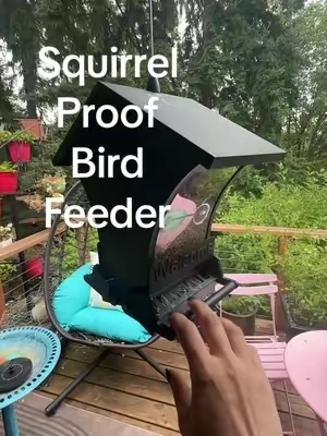 Free shipping Wildpark Squirrel-Proof Bird Feeder! #birdfeeder #sqirrelproof #birdwatching #Tiktoshopstockup #TikTokshopbacktoschool 