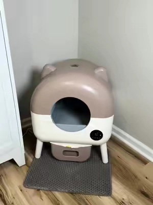 Caja de arena automática 