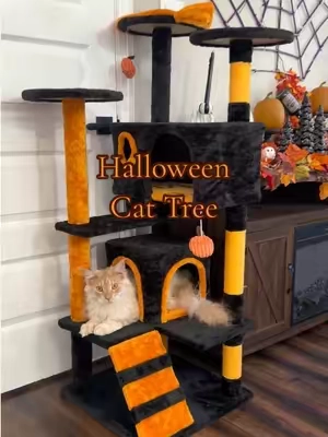 Freaking awesome!!! 🎃🧡🖤🐈‍⬛🐈#catcondo #cattree #catsoftiktok #halloweendecor #spookyseason @Yaheetech Shop 