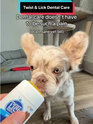 i tried toothbrushes on my dog Slyphe but it was such a painnnn.. 😅 until I found out that this does dental care and it’s SOO much easier!!