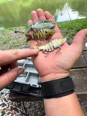 2inch swim baits all sizes in this link. #fishing #swimbait #fishinglife 