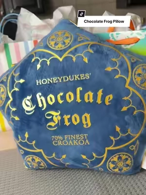 Awww this chocolate frog pillow is so cute… @@Jay Franco Home##chocolatefrogpillow##throwpillow##harrypotterfans##TikTokshopbacktoschool##tiktokshopcreatorpicks 