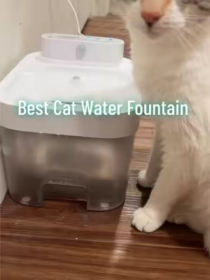 Truely the best cat water fountain we have had ! #hapaw #catwaterfountain #freshwater #catlover #catpeople 