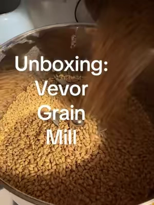 Free shipping VEVOR 750g Electric Grain Mill Grinder, 2000W 28000RPM High Speed Spice Corn Dry Grinding Machine, Stainless Steel Pulverizer Powder Machine for Dried Grains Coffee Beans Spices Nuts (270° Swing Type) @VEVOR Store #grainmill #flour #healthyfood #baking #TikTokshopbacktoschool 
