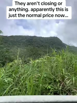 7674849830186781983