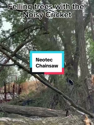 shoutout to @Miranda Mecham for capturing the noisy cricket in the wild. @Neotec makes a damn handy little saw. I love that it small enough to use in one hand and drop some trees and limbs. #lumberjack #falldealsforyou #chainsaw #neotec 