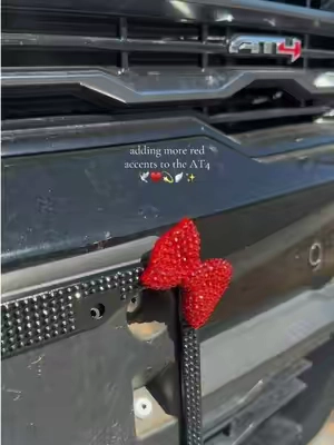 ain’t this the cutest 🎀♥️ #caraccessories #licenseplateframe #tiktokshop #AT4 #gmc 