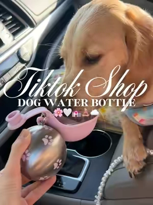 Dog water bottle 🌸🤍💒🧘🏼‍♀️☁️#fyp #dogwater #dogwaterbottle #dogtravel #dogessentials 