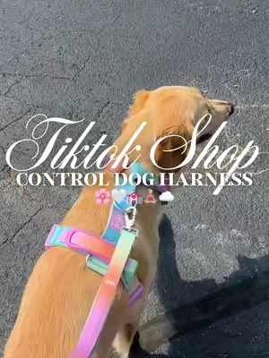 Control dog harness 🌸🤍💒🧘🏼‍♀️☁️#fyp #dogharness #dogwalk #nopulldogharness #nopullharness 