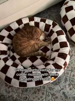 The perfect cozy bed for cats and dogs! #petbed #catbed #dogbed #petmusthaves #PetsOfTikTok 