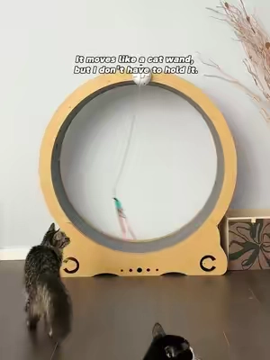 Indoor Play Without Needing a Huge Room#catpick #cattoys #catsofttiktok 