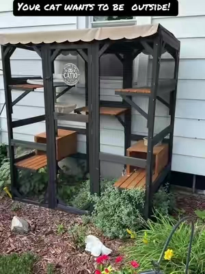 Your cats want fresh air, your cats want to see and hear the birds! Chase bugs and just sit outside! This catio lets them be outside safely, you don’t have to worry about their safety! #catio #catlife #indoorcat #tiktokshopcreatorpicks #cat 