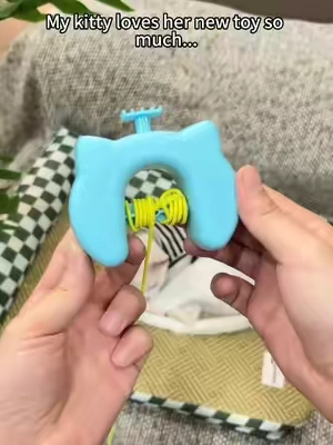 #catsoftiktok #cat #catlover #cattoys #catmom 
