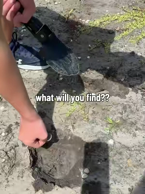 So fun to see what we can find! #metaldetecting #metaldetector #BackToSchool #TikTokshopbacktoschool #sohochic 