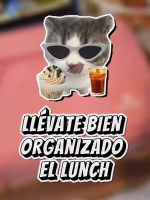 Lleva a tu trabajo tu lonche de la mejor manera 🙌👌🥰 #jennyclaros #hondureñosenusa🇭🇳🇺🇸 #parati  #tiktokshop 