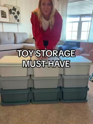 Absolutely love this toy storage 🩵🧸 #toystorage #toybox #toystorageideas #dormroommusthaves #toyorganization