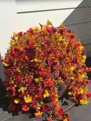 I love a pretty plant I can’t kill lol 