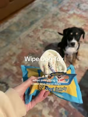 Puppy teething without sacrificing your furniture 😂🐶🦷  #PuppyTeething #DogToys #TikTokShopCreatorPicks