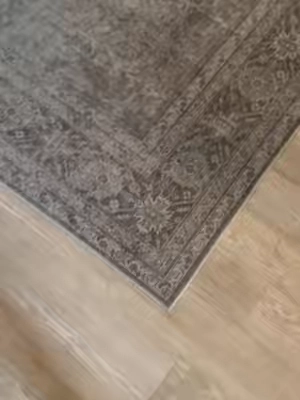 My wife is loving her new rug! #rug #homedecor #giftideasforher 
