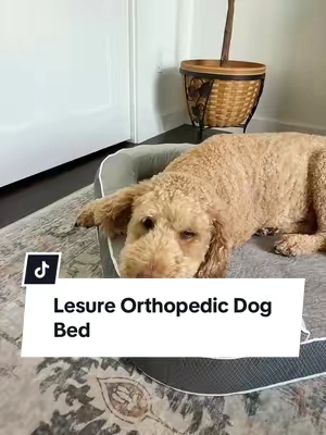 This orthopedic dog bed has officially passed the test in our house 🐶🙌 Three layers of supportive foam, a waterproof liner, machine washable cover, and comfy bolsters for curling up. Plus, the size chart makes finding the right fit for your dog SO easy. A week later and both of my dogs are still choosing this bed nonstop! #OrthopedicDogBed #DogBed #SeniorDog #lesurepet #dogpack 