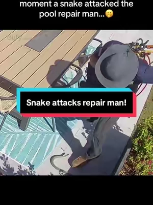 He’s got some quick feet! 🫢🐍 #eufy #caughtoncamera #snake #securitycamera #scary 