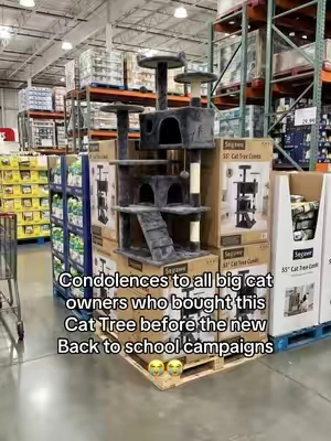 #tiktokshopcreatorpicks 