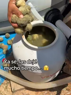¡La mejor compra para mi piscina! 💦 Adiós a los bultos pesados de arena. Estas bolas de filtro VEVOR atrapan toda la mugre, son ultra ligeras y además reusables ♻️ (las lavas en su bolsita). #poolfilterballs #mantenimientodepiscina #vevor #limpiezadepiscina #carritonaranja