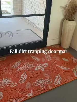 It’s the texture on this dirt-trapping mat for me 👏 #dirttrapper #doormat #entrywayrug #entrywayideas #homefinds