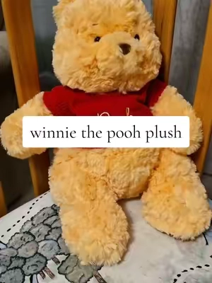 The most adorable Winnie the Pooh plush 🍯  #winniethepooh #poohbear #plushies #stuffedanimal #stuffies 