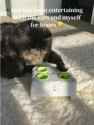 we love a fun and interactive cat toy in this house 🤣 🐈‍⬛  #catenrichment #cattoys #cats #catlover #interactivecattoy 