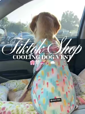 Cooling dog vest 🌸🤍💒🧘🏼‍♀️☁️#fyp #dogvest #dogclothing #dogclothes #dogaccessories 