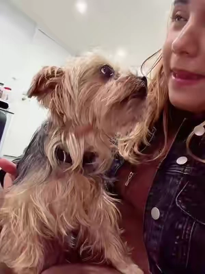 #paratiiiiiiiiiiiiiiiiiiiiiiiiiiiiiii #creatorsearchinsights #tiktokshop #dog 