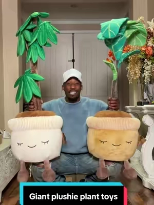 Life size plushie plants. #TikTokshopbacktoschool #plushies #plants #toys 