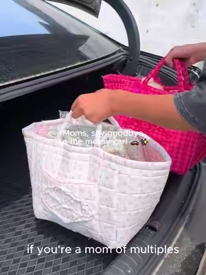 The basket that saved my mom-mobile #cutestorage #momhack #caressentieals #giftformom#momcar 