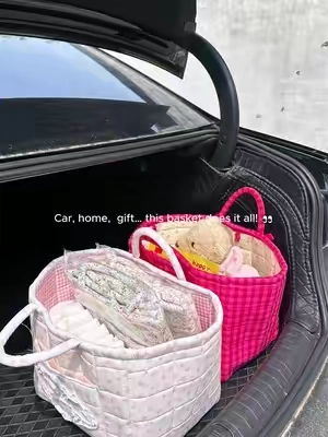 I bought these for my car…now I use them everywhere.#cutestorage #momhack #caressentieals #giftforher #homeorganization 