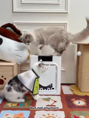 if your air purifier doesn't，suck in pet hair like this，you have the wrong one，we just got this new oneisall air purifier and it has changed everything！#FYP #Limitedtimeoffer #petparent #catsoftiktok #PetEssentials #TikTokshopbacktoschool #weeklydealsn #oneisall #PetAirPurifier
