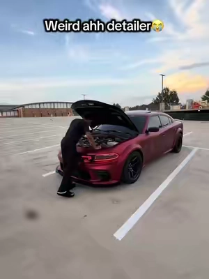 7675348283253935390