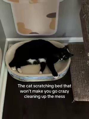 These are so heavy duty and they last such a long time vs those ones from the store you have to replace often and shed everywhere! #catbed #catscratcher #catenrichment #catmusthaves #catscratch 