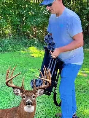 VEVOR 360° Silent Swivel Hunting Chair – Portable Whitetail Deer Hunting Seat Built for whitetail deer hunting, this portable hunting chair features a 360° silent swivel design that lets you turn and adjust your shooting position while helping keep movement and noise to a minimum. The foldable, lightweight design makes it a great option for deer blinds, ground blinds, bow hunting, rifle hunting, turkey hunting, predator hunting and other outdoor hunting setups. Keywords: whitetail deer hunting chair, deer blind chair, hunting chair, 360 swivel hunting chair, silent hunting chair, ground blind chair, bow hunting chair, rifle hunting seat, portable hunting chair, turkey hunting chair, predator hunting, deer hunting gear, hunting accessories #WhitetailHunting #DeerHunting #HuntingGear #DeerBlind #BowHunting
