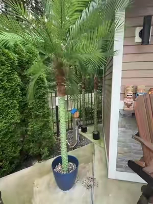 Artificial palm tree#palmtrees #palmtree #backyar #pool #patio 