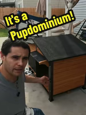 It's not just a dog house is a whole Pupdominium! #dog #pet #doghouse #backtoschool #TikTokshopbacktoschool 