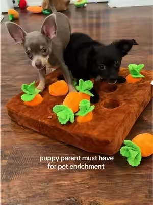 #puppytok #petparent #petenrichment 