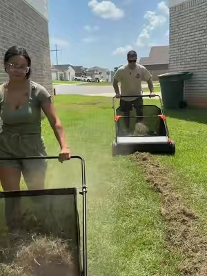 This is the all new 2026 Vevor Lawnsweeper, just in time for the fall #vevor #lawnsweeper #vevorlawnsweeper #lawncare 
