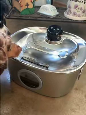 Your pets want fresh water too! This stainless steel automatic water fountain lets you monitor the water intake and keeps the water fresh and filtered! It’s also motion sensored. #petowners #waterfountainforpets #pawaboofountain #dogmoms #dogsoftiktok @Pawaboo 