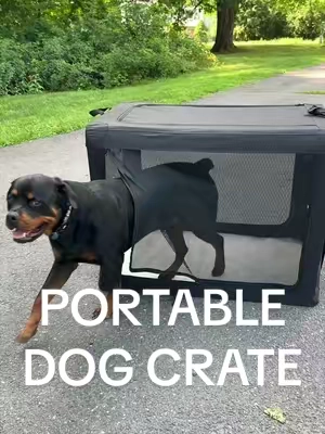 IT’S BACK 🚨👀 #dogsoftiktok #dogmom #doglover #dogparents #tiktokshopcreatorpicks 