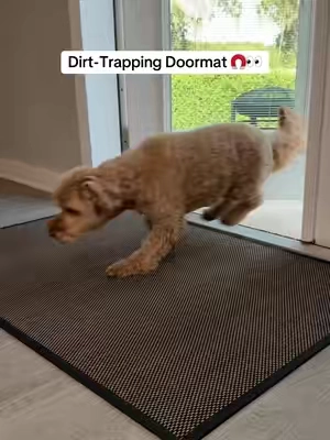 This is actually genius... #doormat #doormats #homeessentials #CleanTok #TikTokShopCreatorPicks 