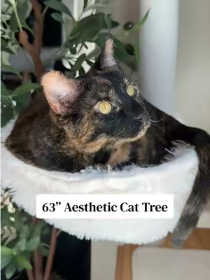 LOVE!! Such a cute cat tree! 🤍 #cattree #cattower #aestheticcattree #aestheticcatfinds #cats 