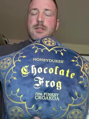 Jay Franco Official Harry Potter Honeydukes Chocolate Frog Fluffy Stuffed Cushion - 16in Soft Padded Blue Throw Pillow, Whimsical Gifts, Unique Gifts for Harry Potter Fans, Cozy Bed Setup Decor #TikTokshopbacktoschool 