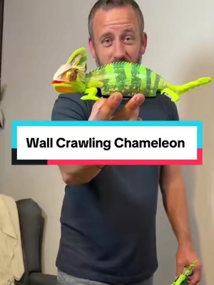 Wall Crawler Chameleon #chameleon #wallcrawler #rc #toys #tiktokshopcreatorpicks 